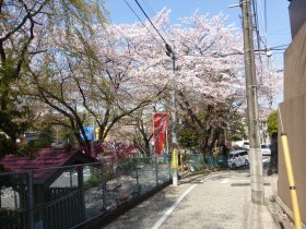 新田坂の石造物群