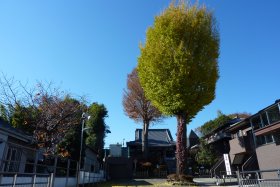 東福寺