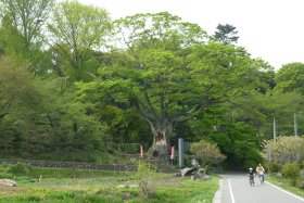 大聖峰寺