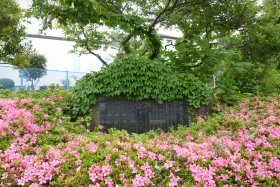 中原街道・・・の碑