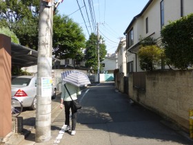 西光寺の前の通り