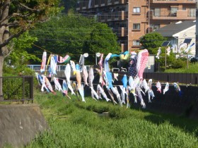 川沿いの遊歩道