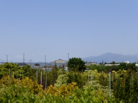 大山と富士山