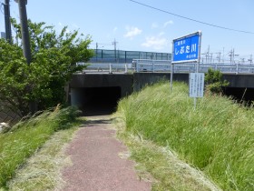 渋田川沿いの道