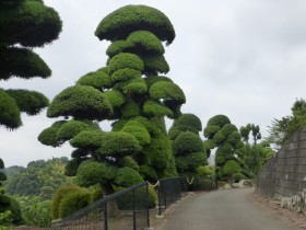 皆川園