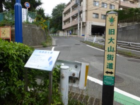 長坂夜雨