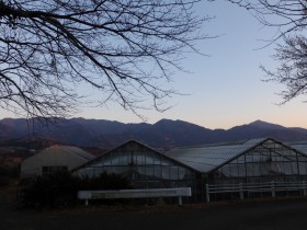 丹沢の山並み