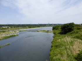 相模川