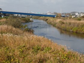 鶴見川