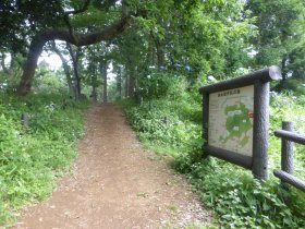 南本宿市民の森