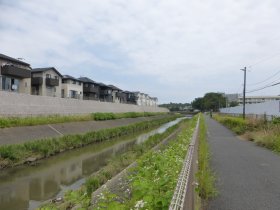 川沿いの遊歩道