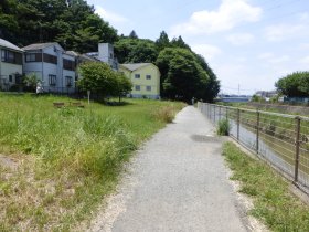 蛇行の跡