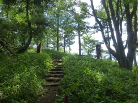 高尾山からの道と合流