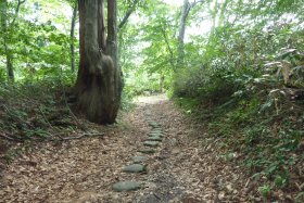 荒沢寺への旧道