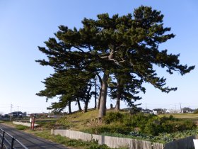 能因島