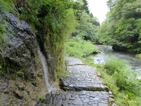 遊歩道